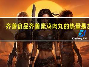 齐善食品 齐善素鸡肉丸的热量是多少