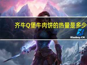 齐牛 Q堡牛肉饼的热量是多少