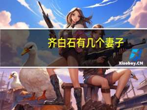 齐白石有几个妻子
