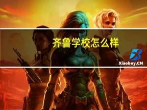 齐鲁学校怎么样