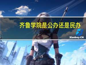 齐鲁学院是公办还是民办