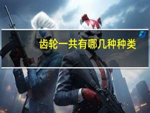 齿轮一共有哪几种种类