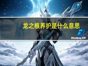 龙之根养护是什么意思