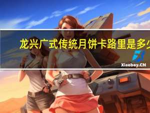 龙兴 广式传统月饼卡路里是多少