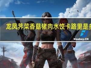龙凤 荠菜香菇猪肉水饺卡路里是多少