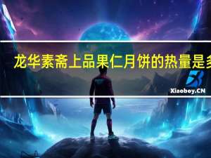 龙华素斋 上品果仁月饼的热量是多少