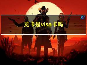 龙卡是visa卡吗（龙卡可以取消visa吗）