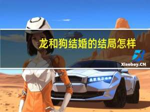 龙和狗结婚的结局怎样