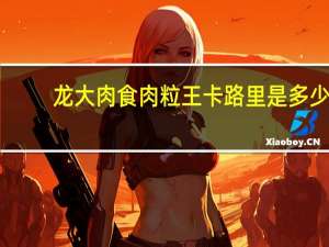 龙大肉食 肉粒王卡路里是多少