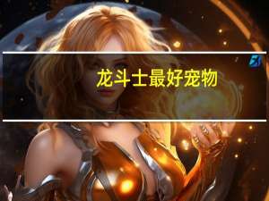 龙斗士最好宠物