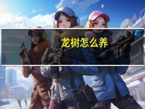 龙树怎么养