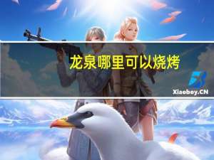 龙泉哪里可以烧烤