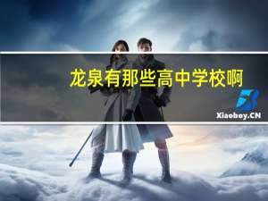 龙泉有那些高中学校啊