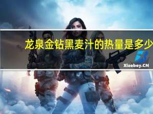 龙泉金钻黑麦汁的热量是多少
