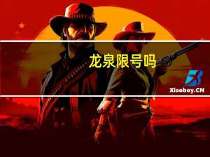龙泉限号吗