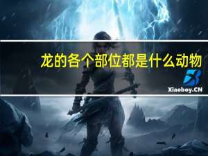 龙的各个部位都是什么动物