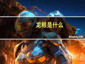 龙粮是什么（龙粮网简介）