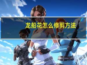 龙船花怎么修剪方法