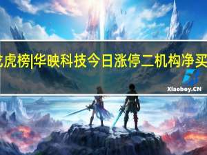 龙虎榜|华映科技今日涨停 二机构净买入7221.95万元