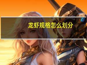龙虾规格怎么划分