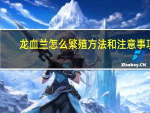 龙血兰怎么繁殖方法和注意事项