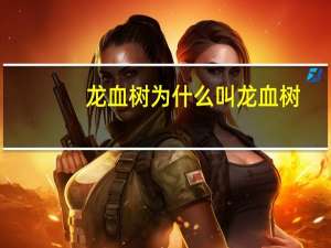 龙血树为什么叫龙血树