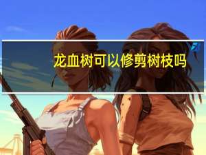 龙血树可以修剪树枝吗（龙血树的修剪方法）
