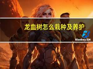 龙血树怎么栽种及养护