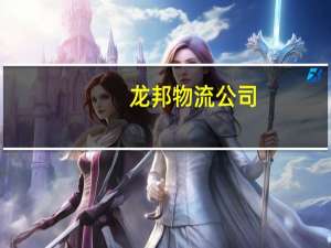 龙邦物流公司