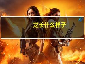 龙长什么样子