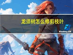 龙须树怎么修剪枝叶