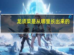 龙须菜是从哪里长出来的