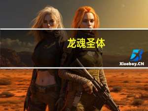 龙魂圣体（关于龙魂圣体的介绍）