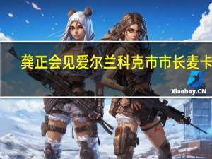 龚正会见爱尔兰科克市市长麦卡锡