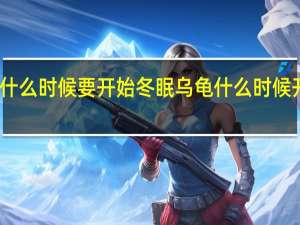 龟什么时候要开始冬眠 乌龟什么时候开始冬眠