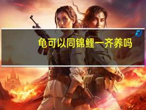 龟可以同锦鲤一齐养吗
