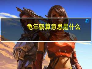 龟年鹤算意思是什么
