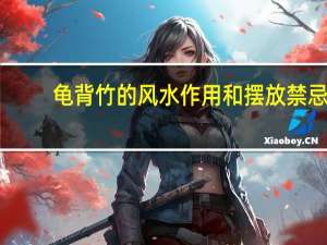 龟背竹的风水作用和摆放禁忌（龟背竹的风水作用）