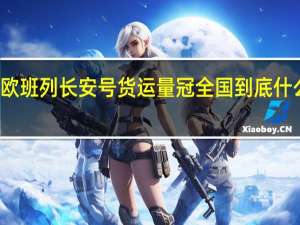 中欧班列长安号货运量冠全国 到底什么情况嘞