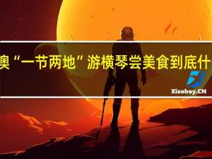   粤澳“一节两地” 游横琴尝美食 到底什么情况嘞