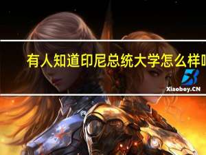 ，有人知道印尼总统大学怎么样吗