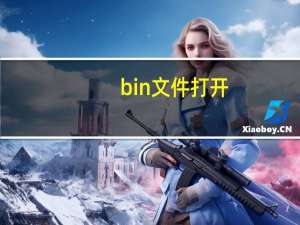 .bin文件打开（bin文件打开工具）