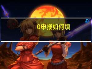 0申报如何填