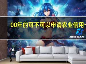 00年的可不可以申请农业信用卡