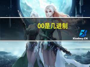 00是几进制