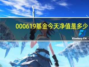 000619基金今天净值是多少（000619基金今天净值查询）