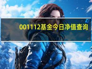 001112基金今日净值查询（001112基金今天净值）