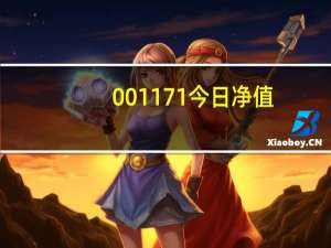001171今日净值（001171）