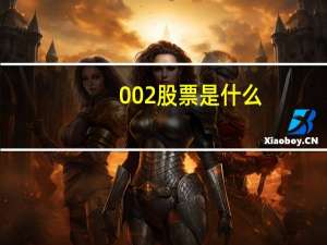 002股票是什么