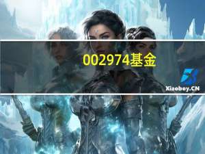 002974基金（002974）